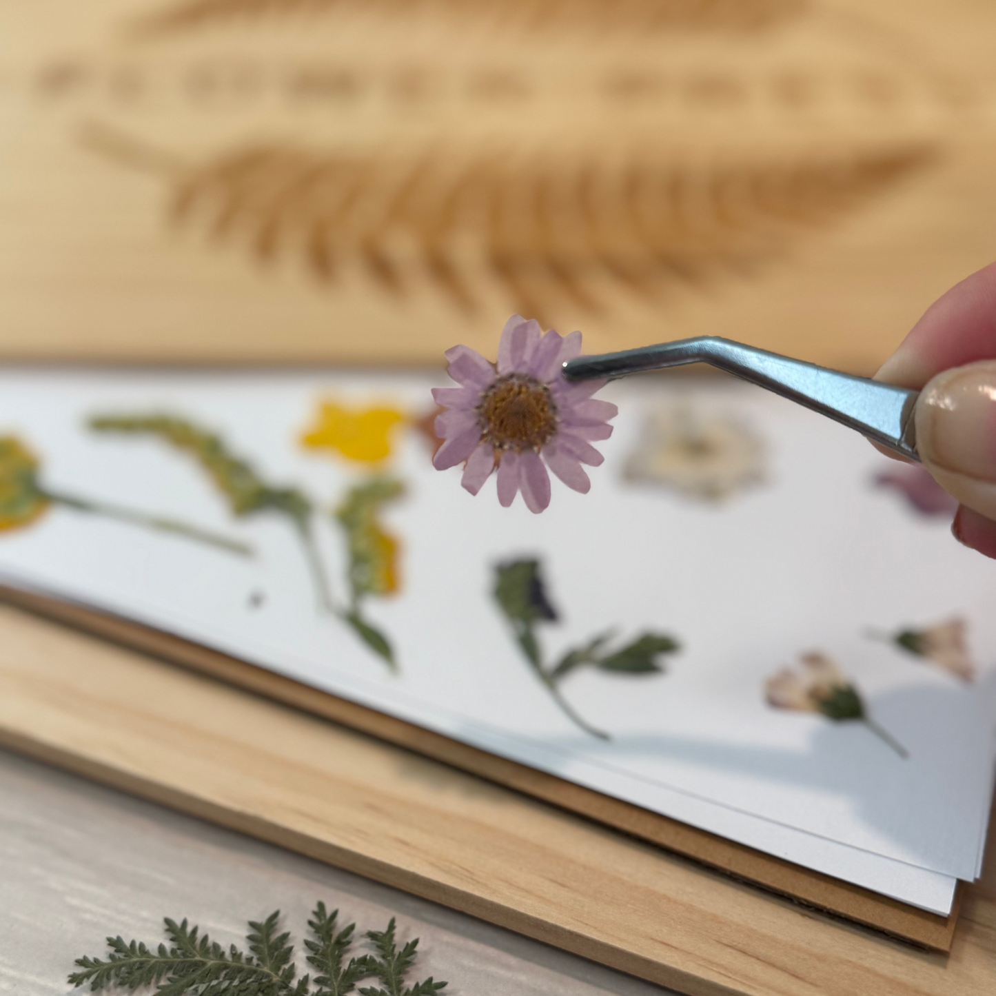 Flower Press DIY kit